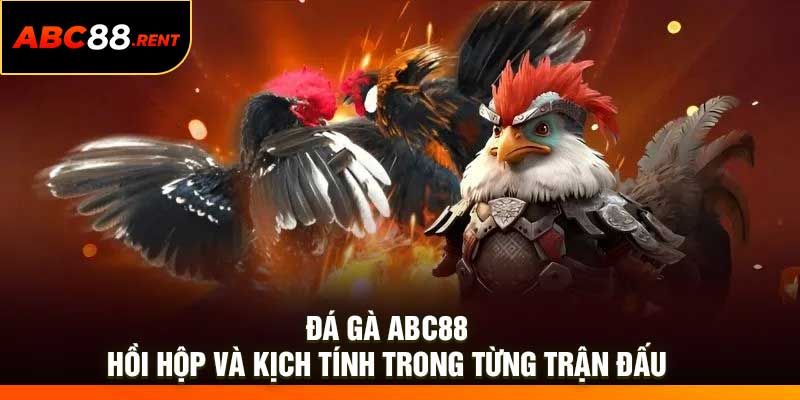 Đá Gà ABC88 – Hồi Hộp Và Kịch Tính Trong Từng Trận Đấu
